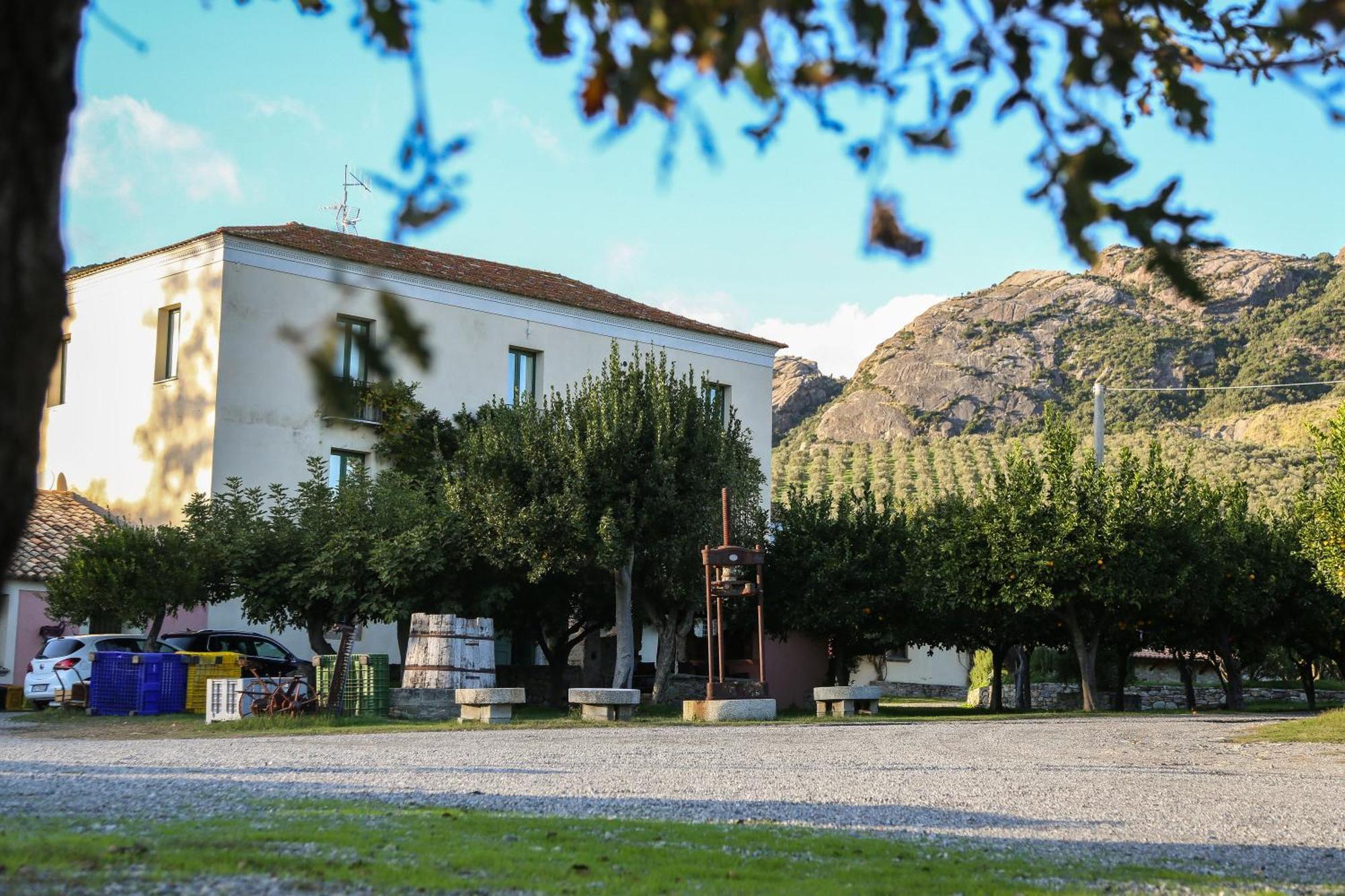 Barone Gr Macri Agriturismo Modi Gerace Bagian luar foto